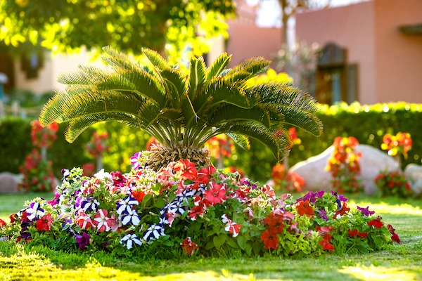 Myrtle Beach Lawn Care Flower Bed