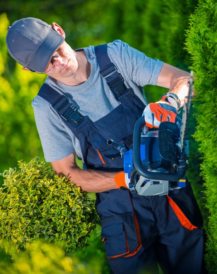 Residential Hedge Trimming Myrtle Beach SC