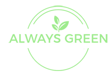 Always Green Landscaping SC